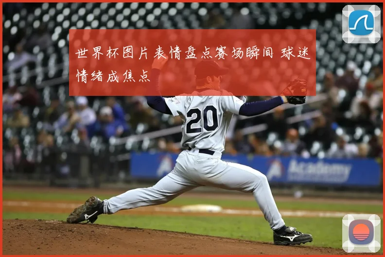 世界杯图片表情盘点赛场瞬间 球迷情绪成焦点